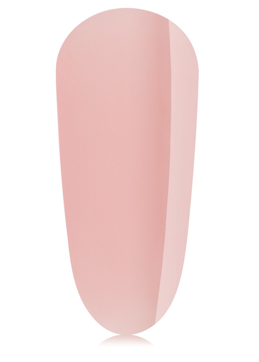 Muse 20ml