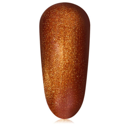 Fortune Magnetic Gel 20ml